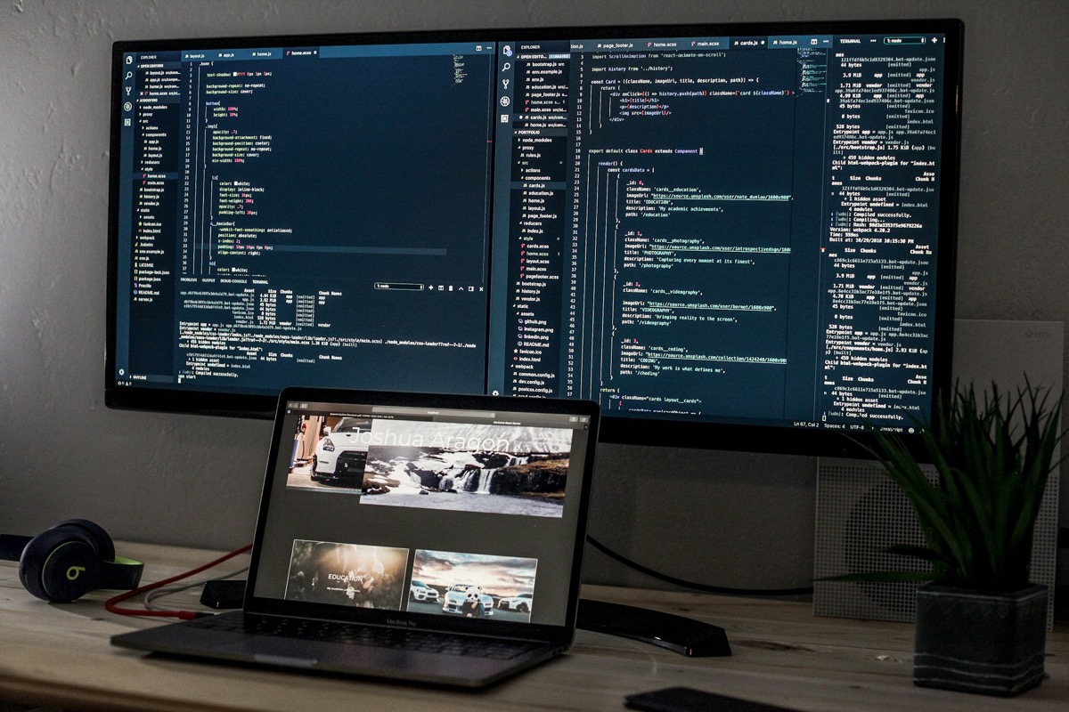 Professional Developer Workspace